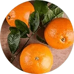 Extracto del fruto de la naranja amarga